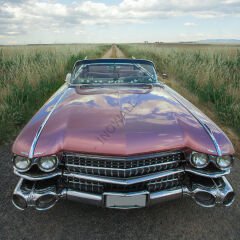 Wall Art Led - Cars 102